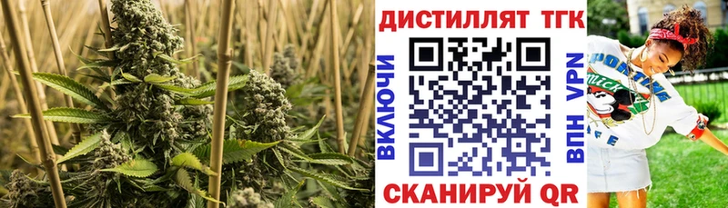 ТГК жижа гидра маркетплейс Карабаново